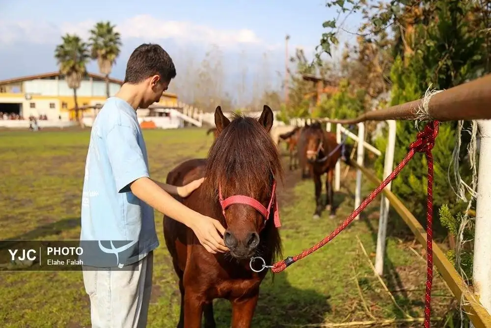 زیبایی اسب اصیل نژاد کاسپین را ببینید + تصاویر