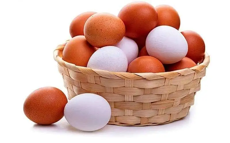 آیا خوردن تخم مرغ هر روز برای بدن ضرر دارد؟