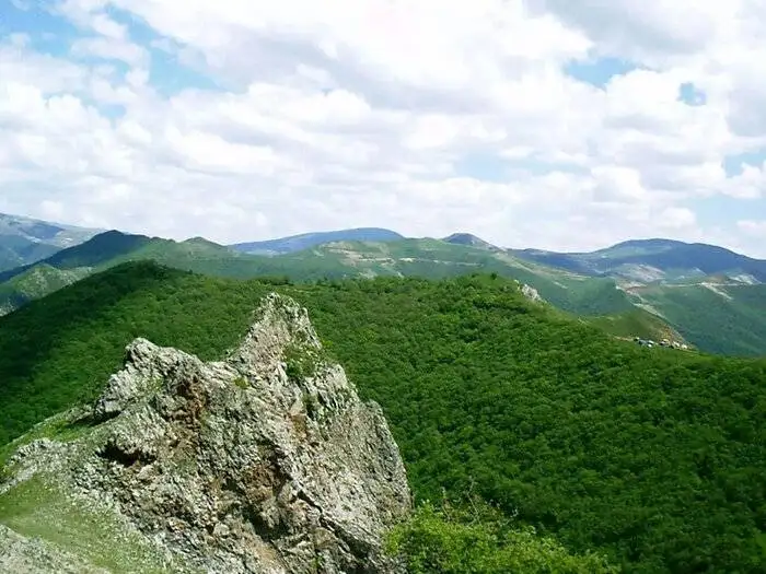 جنگل دیزمار ورزقان ؛ عروس زیبای کوه های آذربایجان
