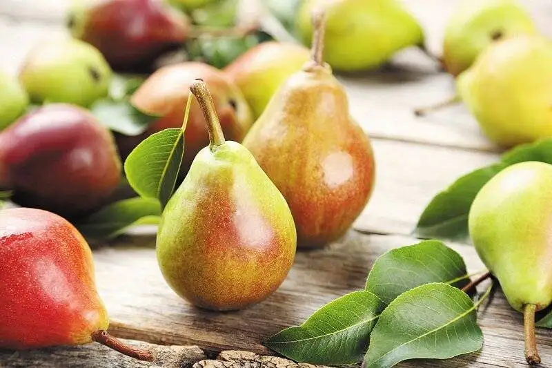 این غذاها ما را از سرطان نجات می دهند