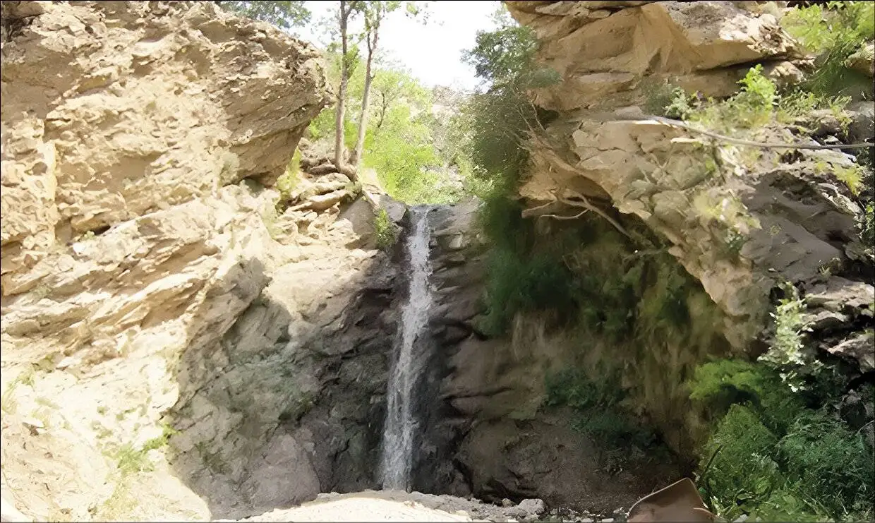 جنگل ناشناخته تهران را بشناسید