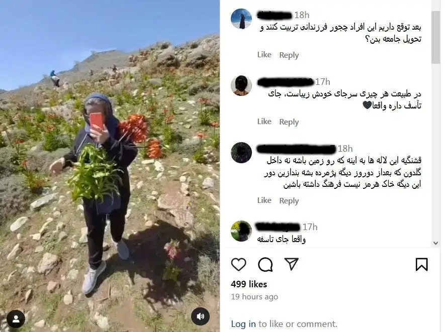 غارت منابع طبیعی، این بار در فارس - شناسایی و برخورد با تور گردشگری متخلف - جریمه 15000 دلاری برداشت گیاهان در کشور همسایه