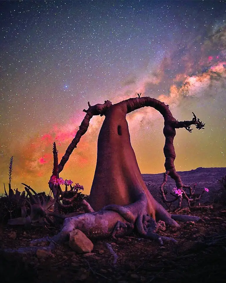 خیره کننده ترین مناظر سال2025 از نگاه عکاسان