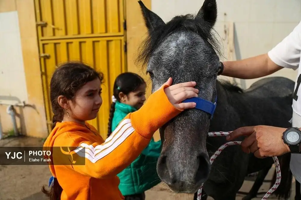 زیبایی اسب اصیل نژاد کاسپین را ببینید + تصاویر