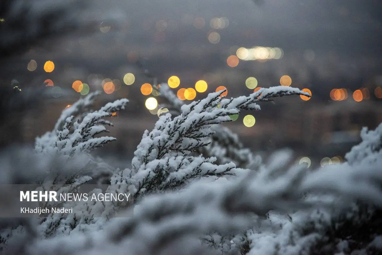 توضیحات رئیس مرکز ملی پیش بینی درمورد برف 2-3 متری، سردچال قطبی و بارش 60 سانتیمتر برف در تهران - (بارش ها ادامه دارد، اما نه آن طور که می گویند)