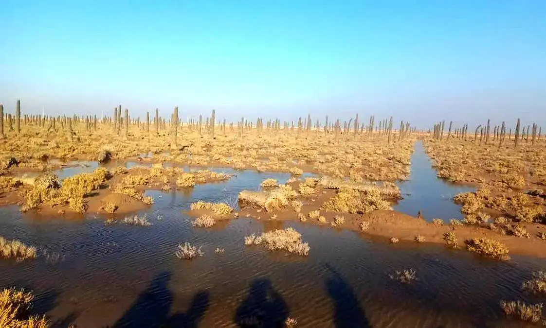 بهمنشیر شورتر از خلیج فارس شد - کارون جان خوزستان را می گیرد