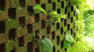 خداحافظی با سیمان و آجر - حل بحران مسکن و آلودگی هوا با سکونت در قلب یک موجود زنده