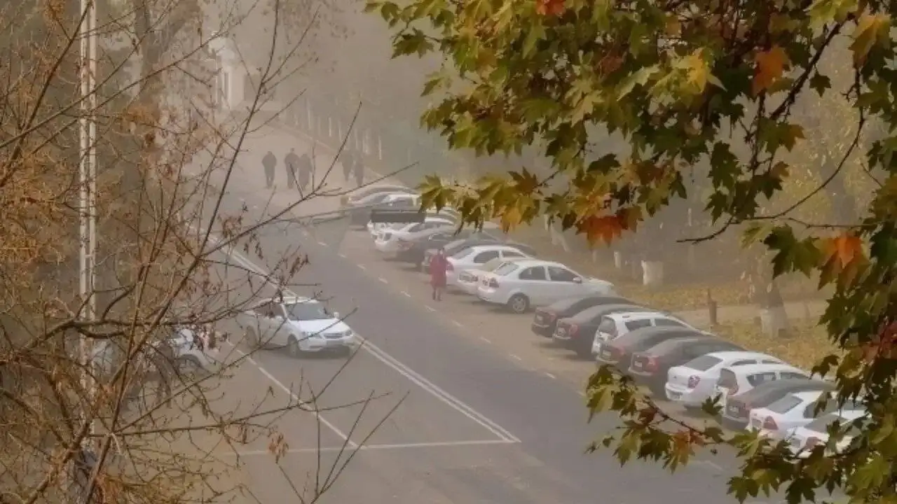 کلان شهرهای سمی؛ تهران و 9 شهر دیگر - نقشه جهانی آلودگی و عوامل تشدیدکننده آن