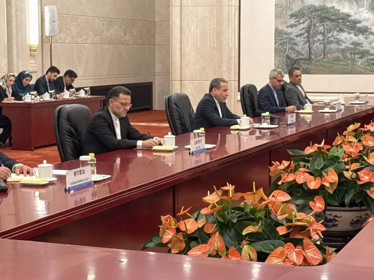 دیدار عراقچی با معاون اول نخست وزیر چین - عکس