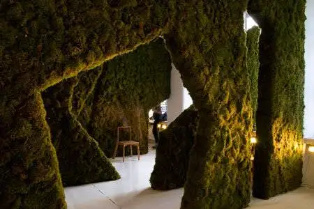 خداحافظی با سیمان و آجر - حل بحران مسکن و آلودگی هوا با سکونت در قلب یک موجود زنده