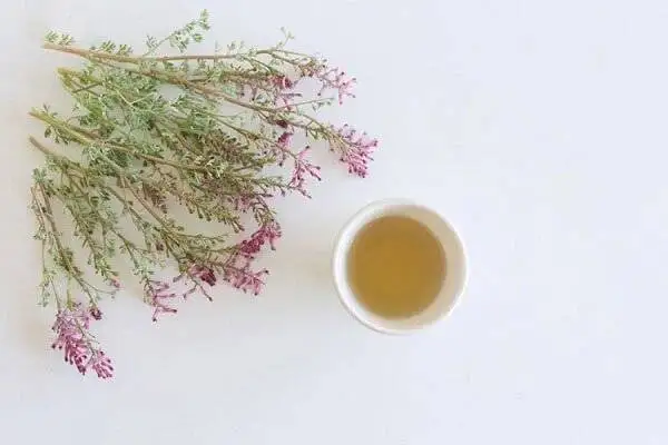 شاتره برای چی خوبه ؟ - طبع شاتره چیست ؟ ؛ نحوه مصرف شاتره