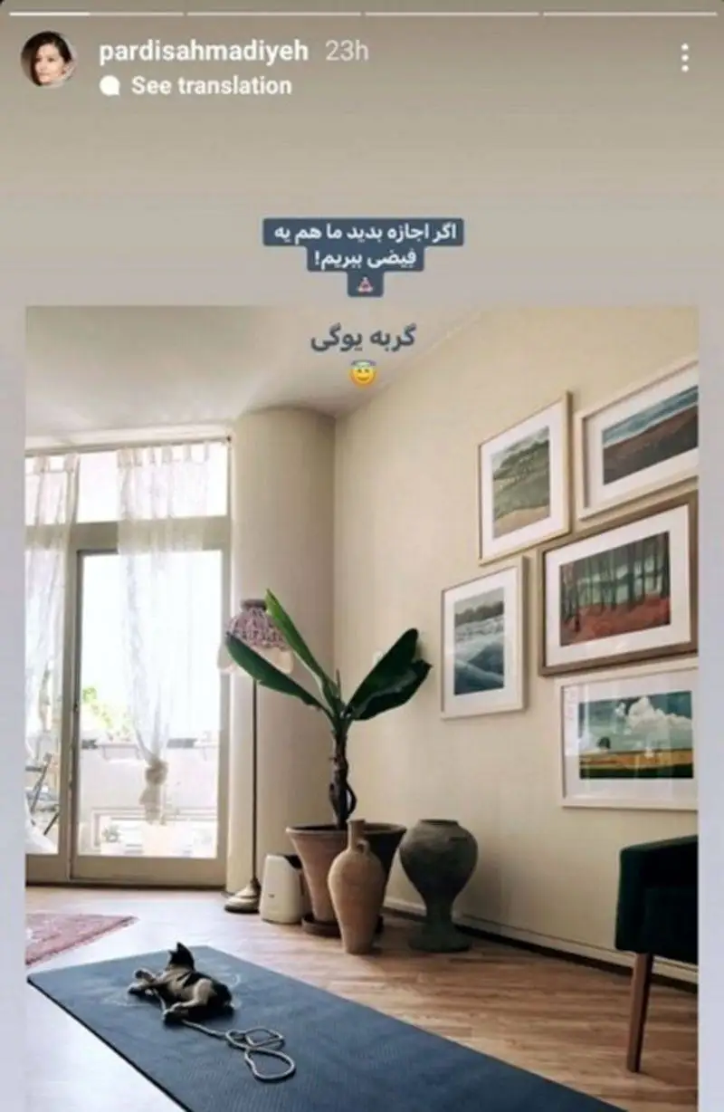 بررسی چیدمان شیک و امروزی خانه پردیس احمدیه - از گربه پوپکی تا اثایه خوش رنگ و بالکنی بی نظیر !