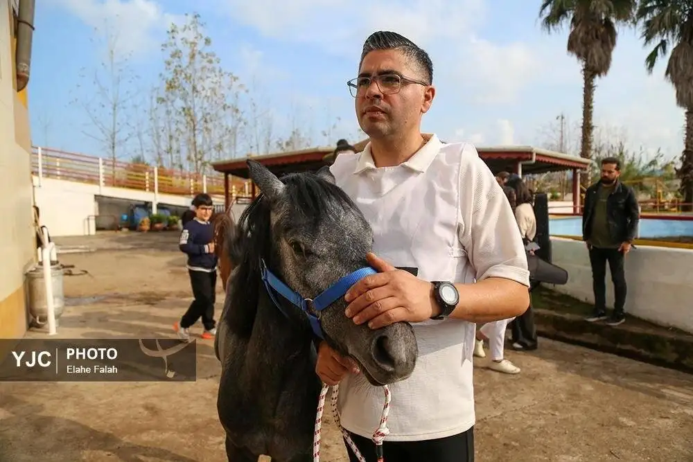 زیبایی اسب اصیل نژاد کاسپین را ببینید + تصاویر