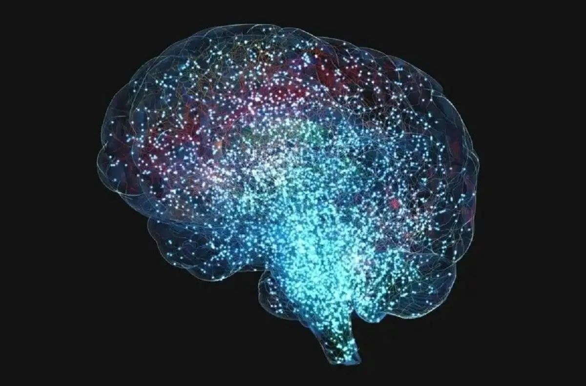 تناسب اندام ذهنی؛ مفهومی فراتر از حافظه