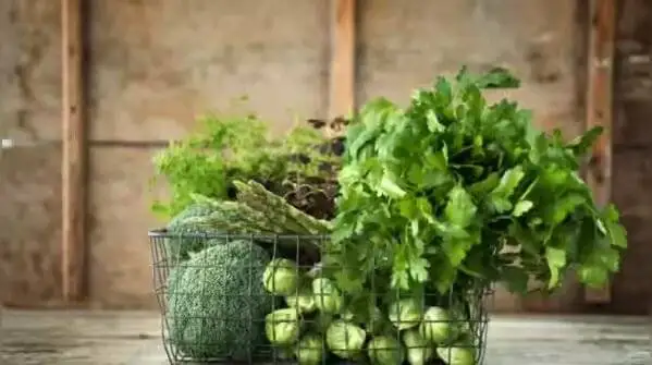 10 خوراکی مهم رژیم مدیترانه ای برای طول عمر بیشتر