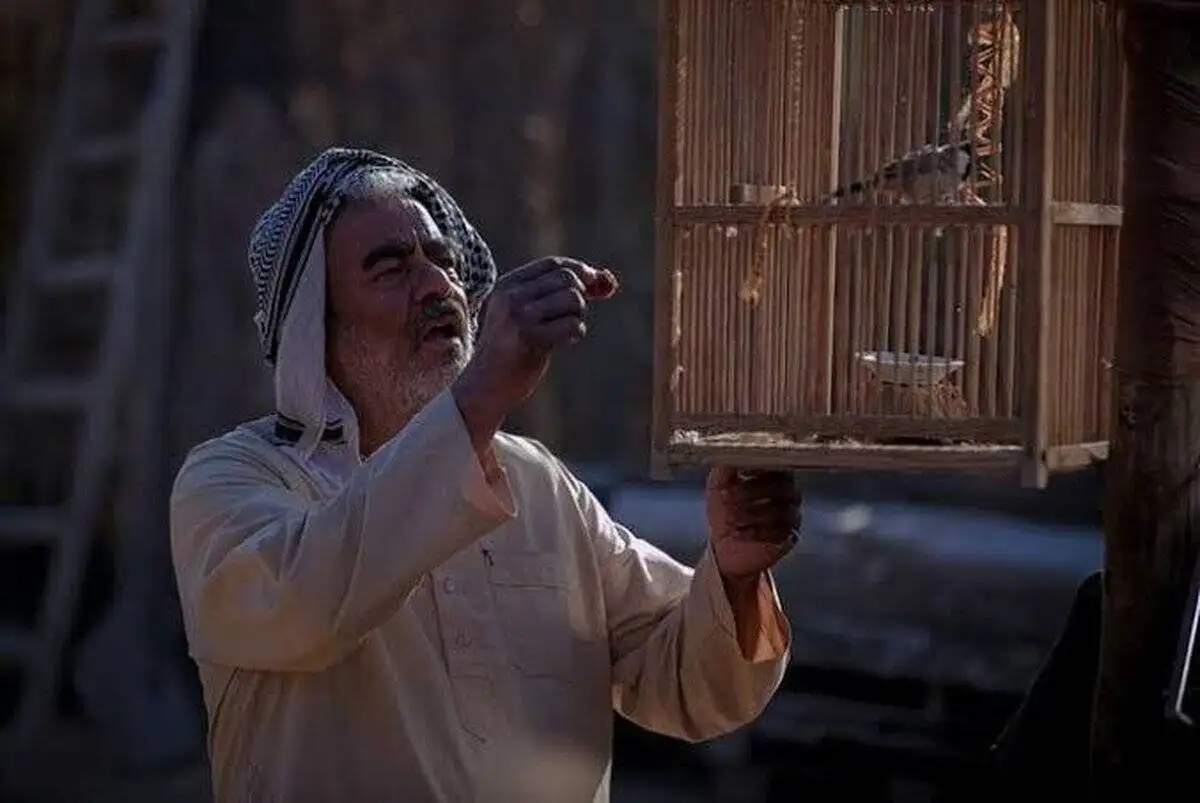 آیا سینمای ایران در دام پیام و کلیشه گرفتار شده - بررسی(حاشیه)،(پل) و (کافه سلطان)