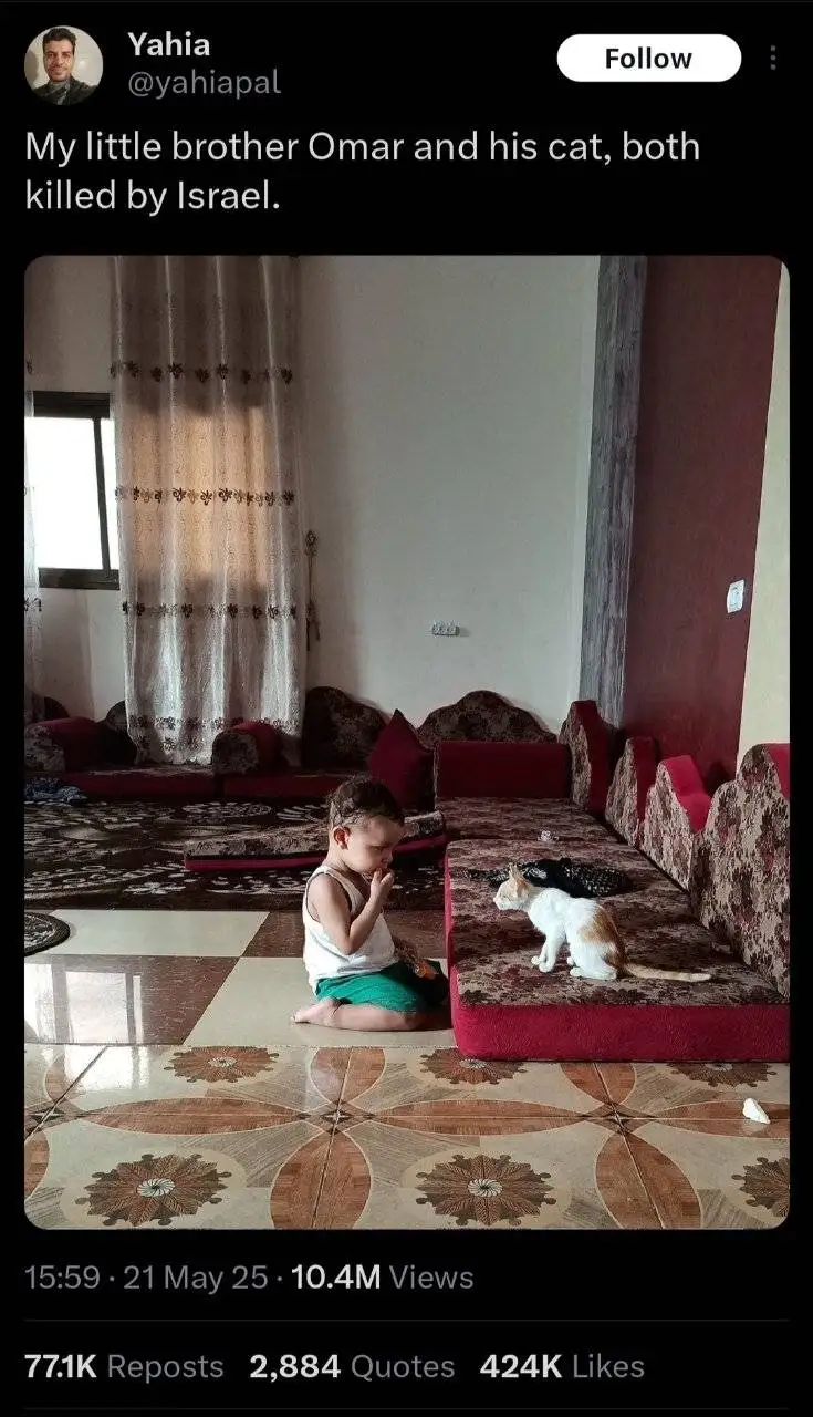 برادر کوچکم و گربه اش توسط اسرائیل کشته شدند - تصویری که میلیون ها بار دیده شد