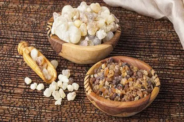 شرایط مصرف کندر برای تقویت حافظه ؛ کندر واقعا ضریب هوشی کودک را بالا می برد؟