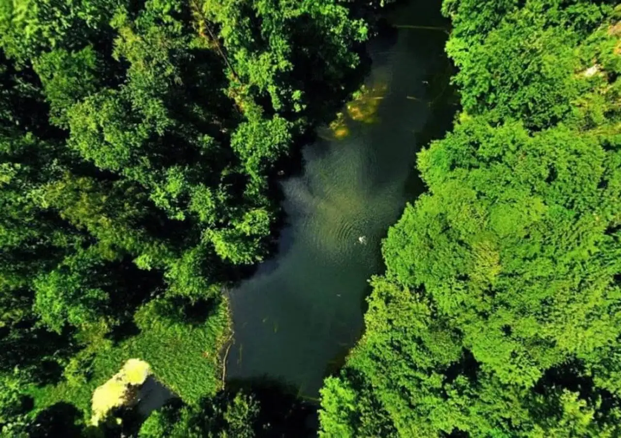 فراخین؛ دریاچه ای بکر در دل جنگل های هیرکانی