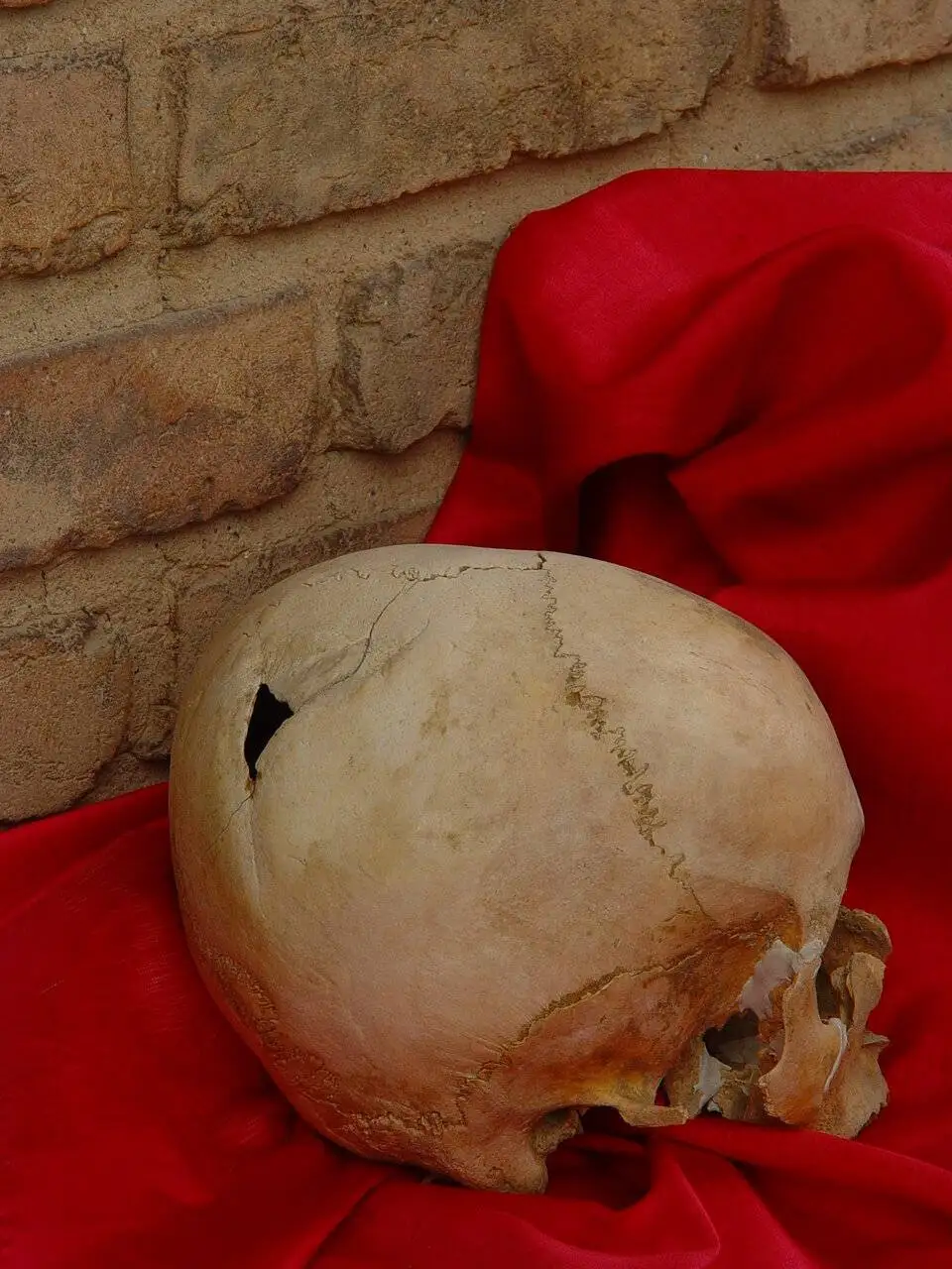 یکی از عجایب تاریخ جهان در این موزه در تهران خفته است - از کالسکه خانه سلطنتی تا موزه تاریخ پزشکی