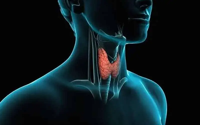 علائم اختلال در عملکرد تیروئید