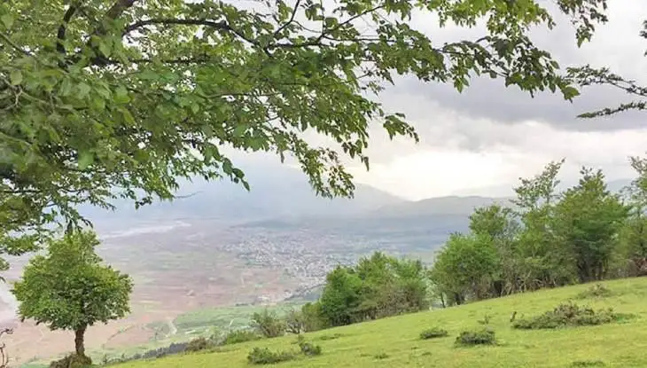 جنگل نقله بر؛ بکرترین و قشنگ ترین جنگل گیلان برای سفر پاییزی