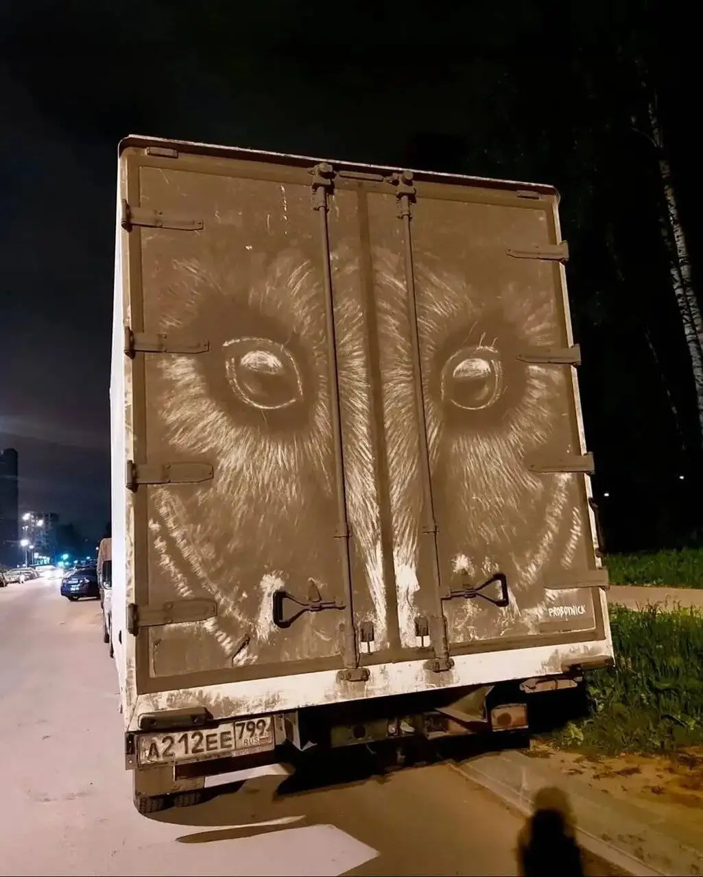 نقاشی های شگفت انگیز روی بوم های متحرک! - ببینید