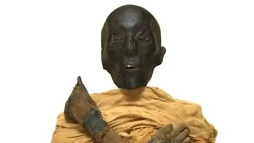 جسد مردی 4500ساله در یک ظرف سفالی - ردپای خاور نزدیک در خون فرعون ها