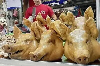 در این نقطه از جغرافیا کله پاچه گوزن و شتر می خورند