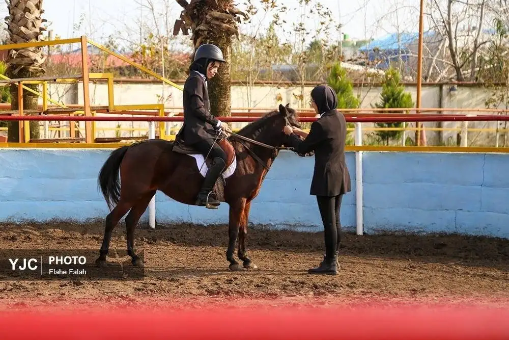 زیبایی اسب اصیل نژاد کاسپین را ببینید + تصاویر