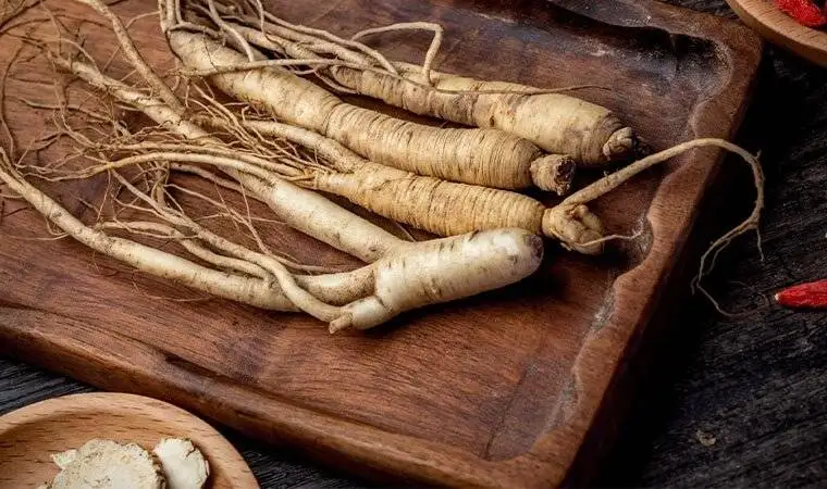 جینسینگ؛ ریشه ای کوچک با قدرتی بزرگ