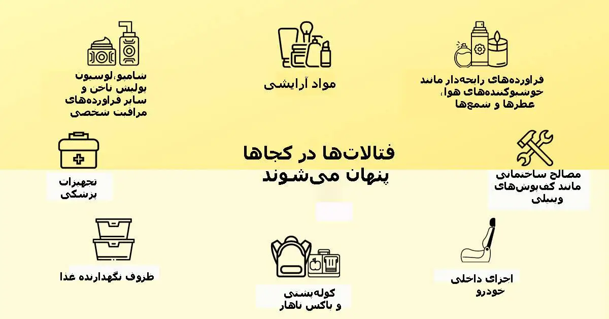 آسیب پلاستیک ها به مغز نوزاد
