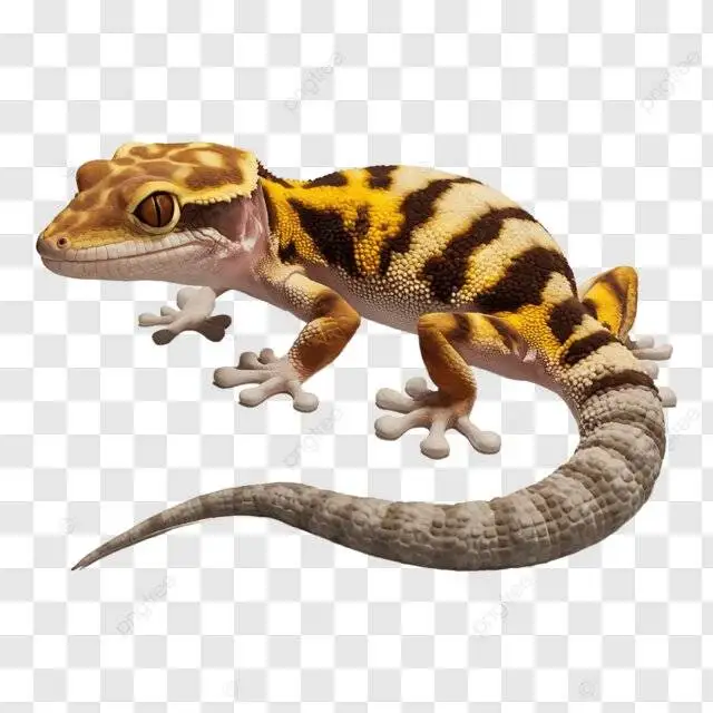 حیوانات جالب در خانه ایرانی ها - انتخاب حیوان خانگی سلیقه ای نیست - جنگ آینده جنگ ژن هاست