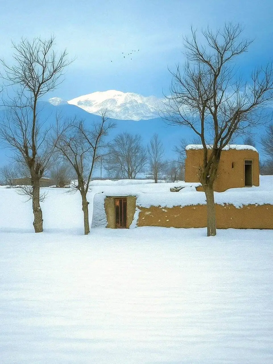 چهره ایران برفی و خوشحالی مردم + عکس و فیلم