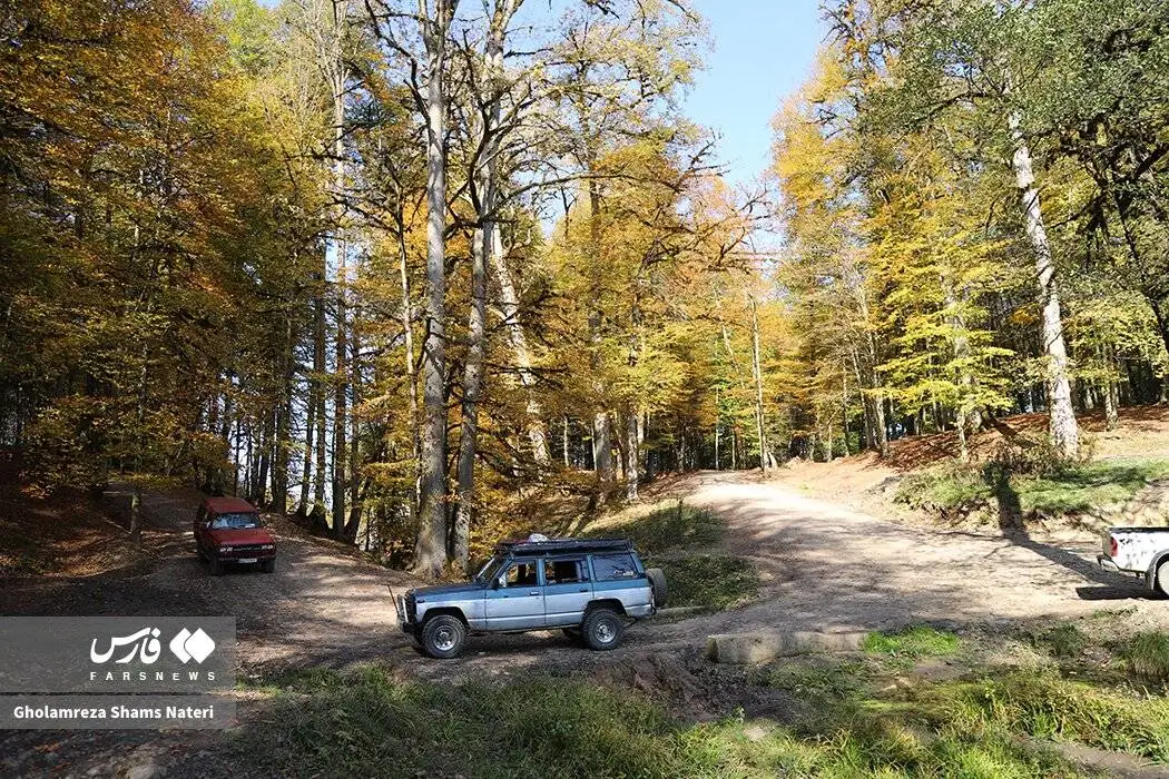 مرداب دِریوک در پاییز + تصویر - مرداب دِریوک کجاست ؟ ؛ مسیر دسترسی به مرداب دِریوک