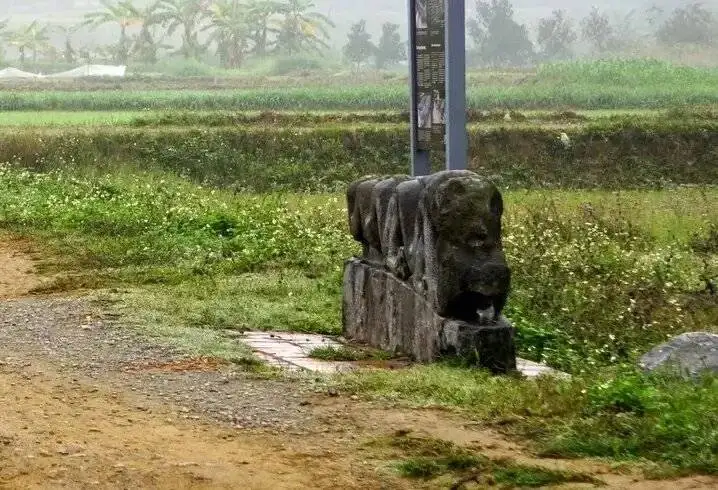 پیدا شدن برگ های سفالی با روکش طلا پشت اژدهای سنگی - عکس