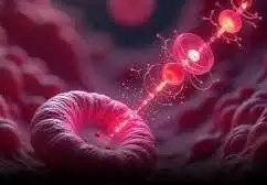 این موجودات نه حیوان هستند و نه روبات، اما تولیدمثل می کنند!