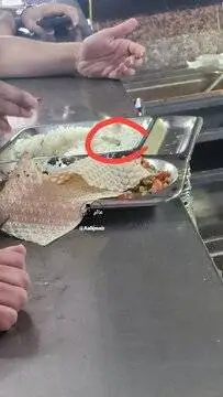دیده شدن مارمولک در غذای یک دانشگاه - عکس