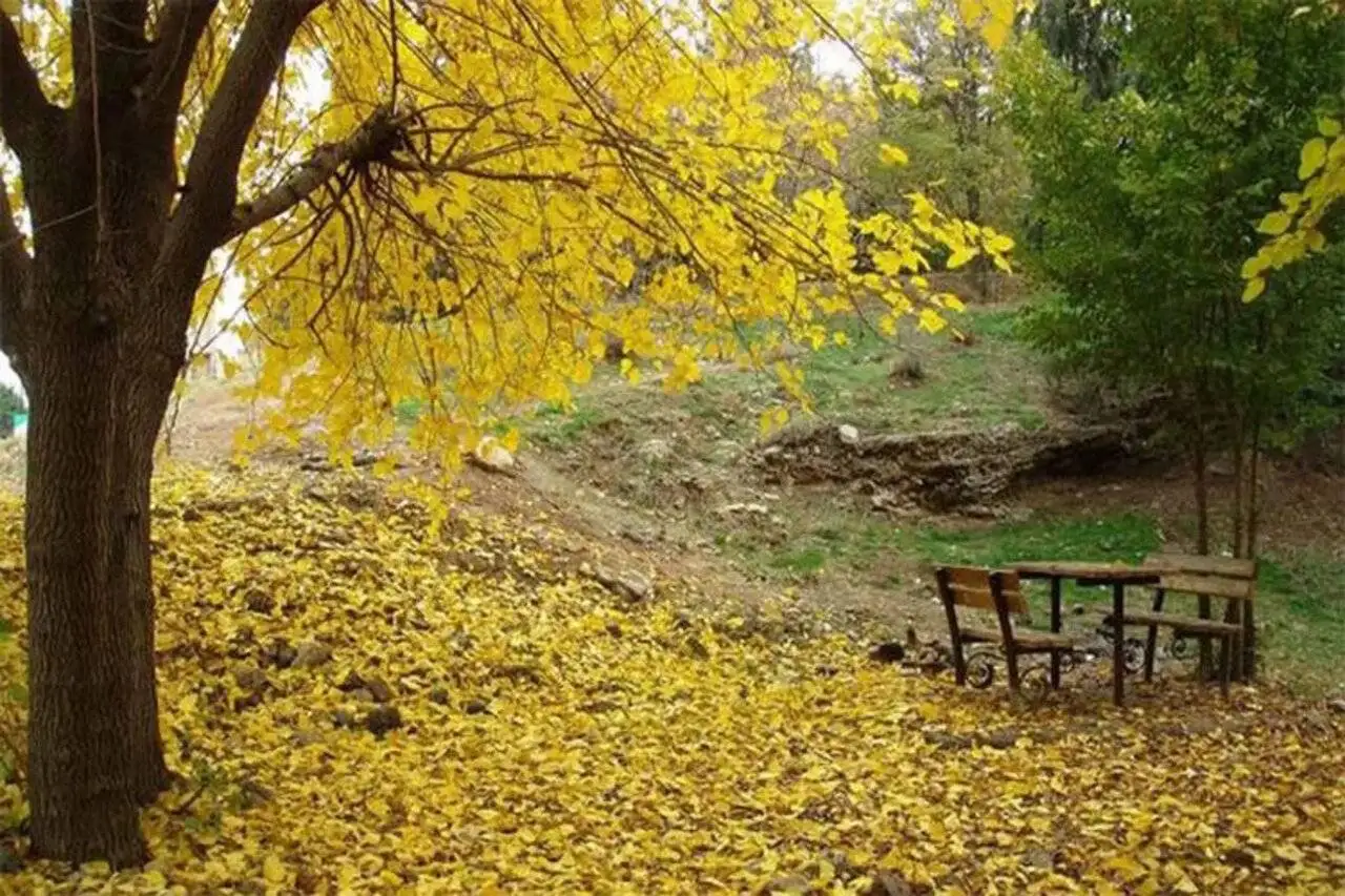 گشت و گذار از خرگوش دره تا باغ جهان نما