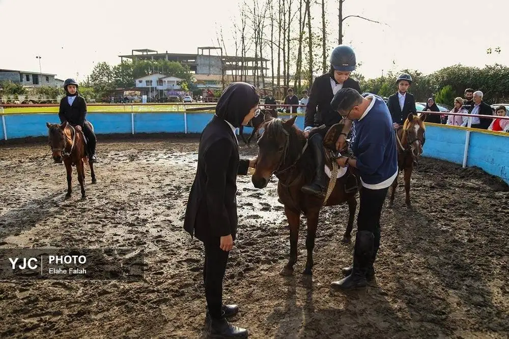 زیبایی اسب اصیل نژاد کاسپین را ببینید + تصاویر