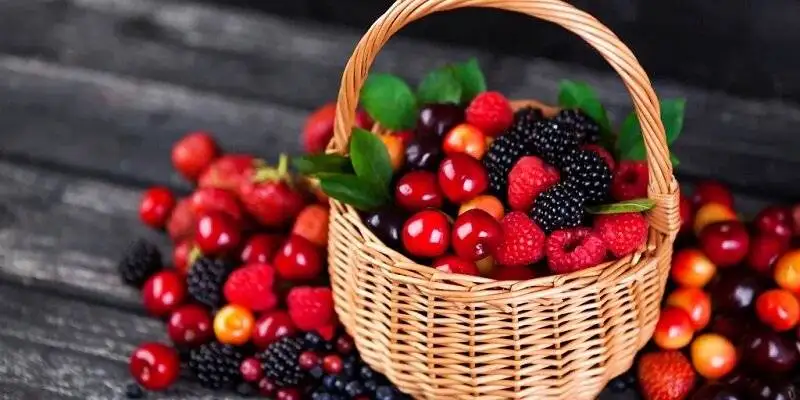 خوراکی هایی برای افزایش ایمنی بدن در زمستان