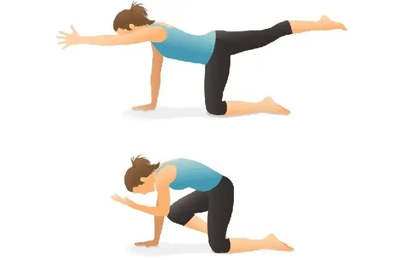 از درد کمر تا تعادل بهتر؛ نقش حیاتی عضلات میان تنه - 4 ورزش ساده برای تقویت میان تنه در خانه