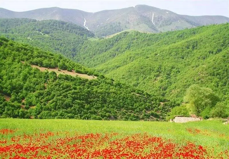 این شهر ایران در گرم ترین روزهای تابستان هم خنک است