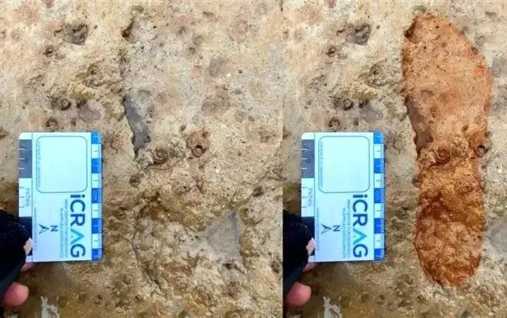 این ردپاهای ساحلی 2 هزار سال قدمت دارند - عکس