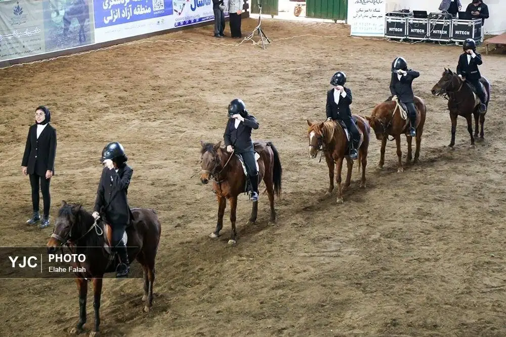 زیبایی اسب اصیل نژاد کاسپین را ببینید + تصاویر