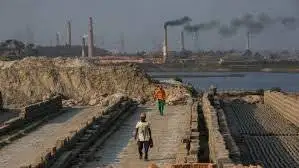 خداحافظی با سیمان و آجر - حل بحران مسکن و آلودگی هوا با سکونت در قلب یک موجود زنده