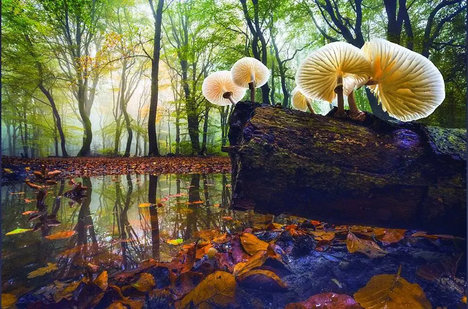 خیره کننده ترین مناظر سال2025 از نگاه عکاسان