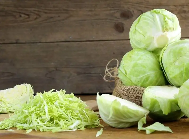 این غذاها ما را از سرطان نجات می دهند