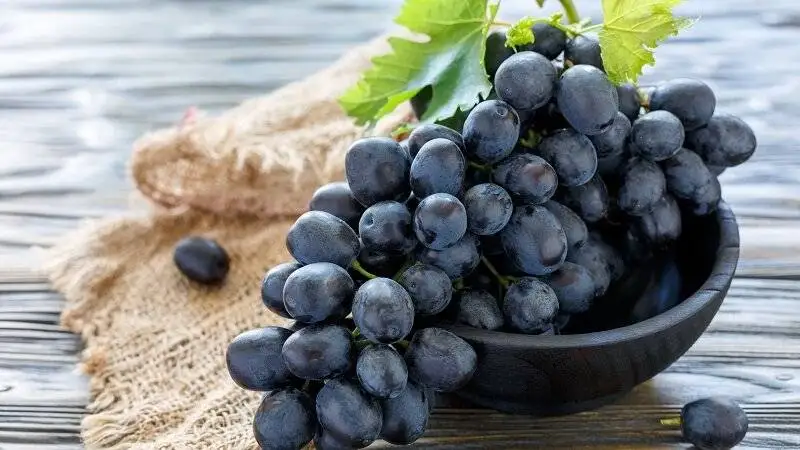 میوه بهشتی برای کاهش فشار خون و تقویت حافظه