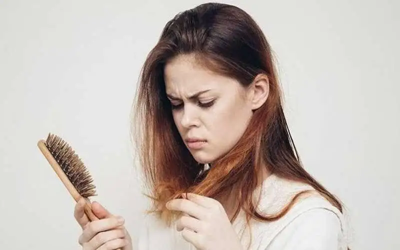 خواص عدس برای مو؛ جلوگیری از ریزش مو با عدس